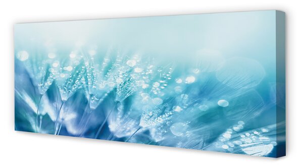 Quadro su tela Gocce di dentelioni astrazione 100x50 cm