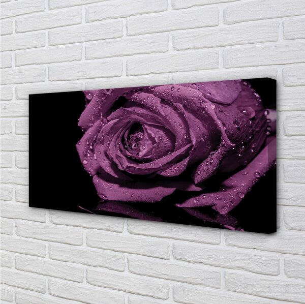 Stampa quadro su tela Rosa viola 100x50 cm