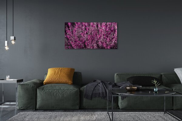 Quadro su tela Campo heather 100x50 cm