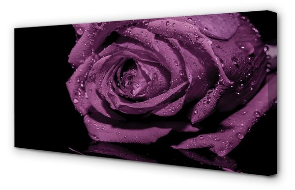 Stampa quadro su tela Rosa viola 100x50 cm