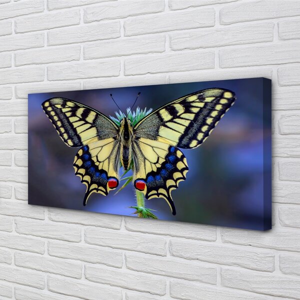Quadro su tela Farfalla di fiori 100x50 cm