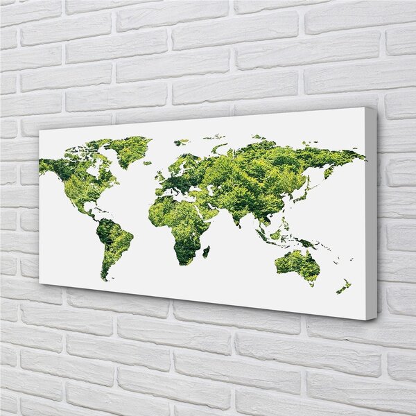 Quadro su tela Mappa di erba verde 100x50 cm