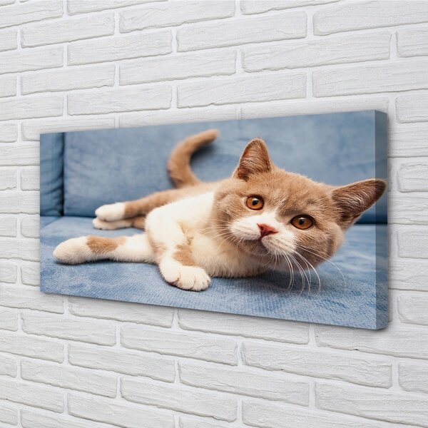 Quadro su tela Gatto bugiardo 100x50 cm