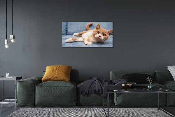 Quadro su tela Gatto bugiardo 100x50 cm