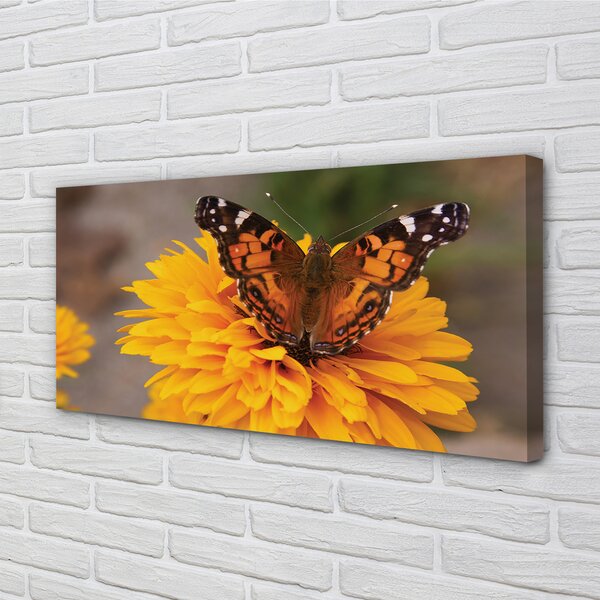 Quadro su tela Fiore di farfalla colorato 100x50 cm