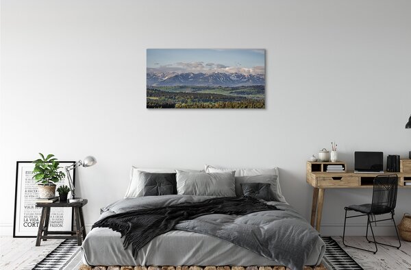 Quadro su tela Montagne 100x50 cm