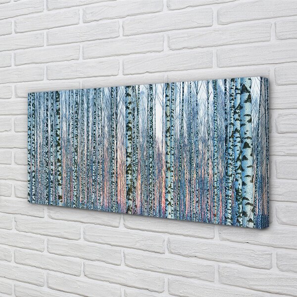 Quadro stampa su tela Sunset della foresta di betulla 100x50 cm