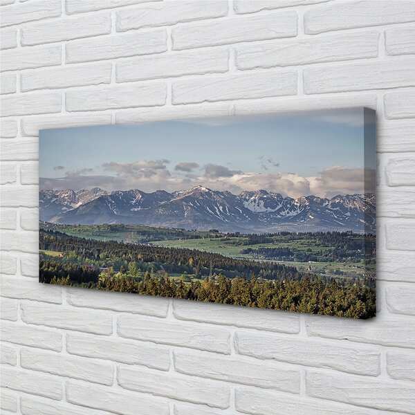 Quadro su tela Montagne 100x50 cm