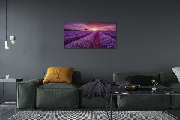 Quadro su tela Campo heather 100x50 cm