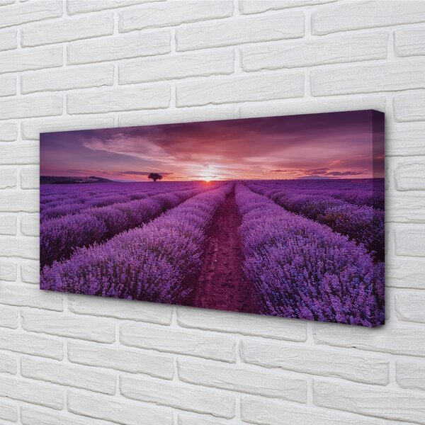 Quadro su tela Campo heather 100x50 cm