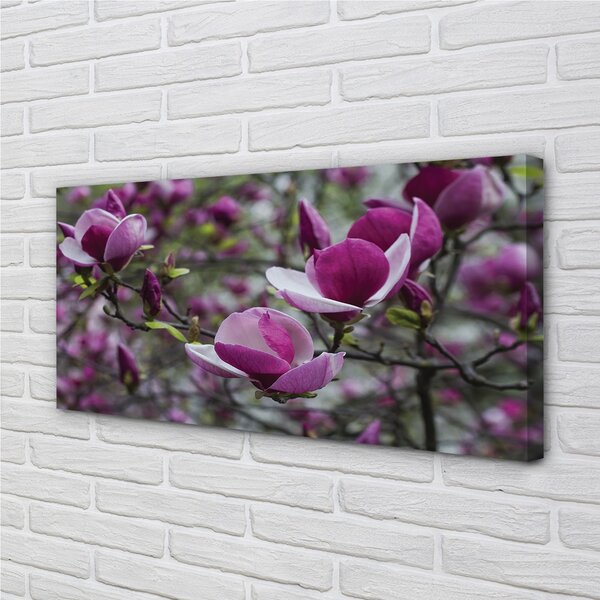 Quadro su tela Magnolia viola 100x50 cm