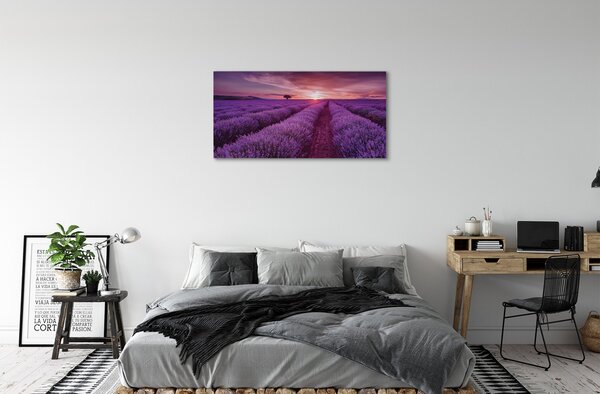 Quadro su tela Campo heather 100x50 cm