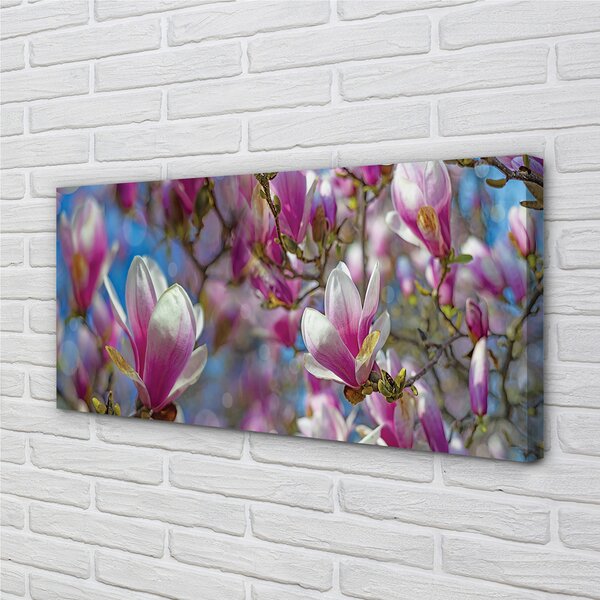 Quadro su tela Alberi magnolia 100x50 cm