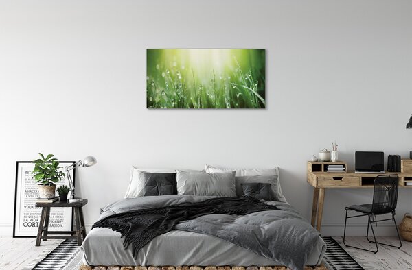 Foto quadro su tela Cade il sole dell'erba 100x50 cm