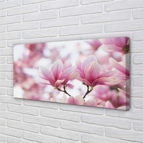 Foto quadro su tela Alberi magnolia 100x50 cm