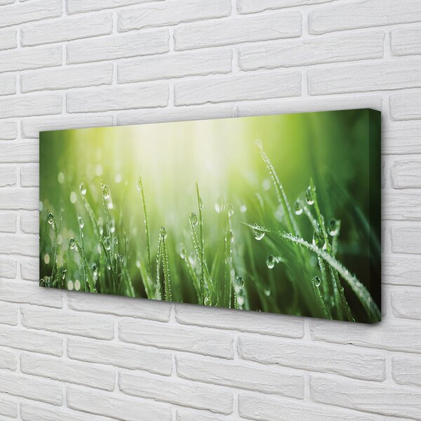 Foto quadro su tela Cade il sole dell'erba 100x50 cm