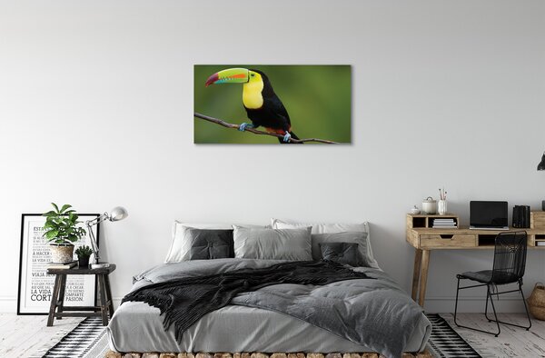 Quadro su tela Pappagallo colorato su un ramo 100x50 cm