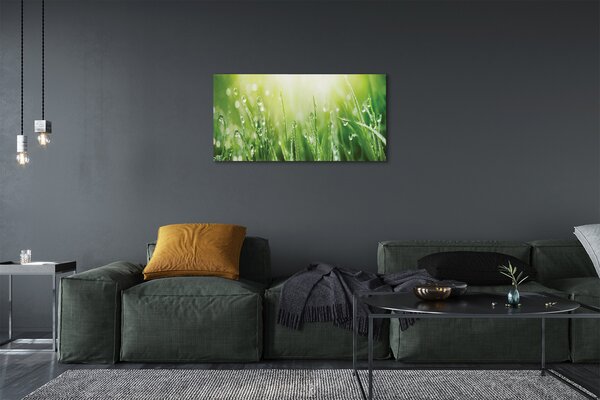 Quadro su tela Cade il sole dell'erba 100x50 cm