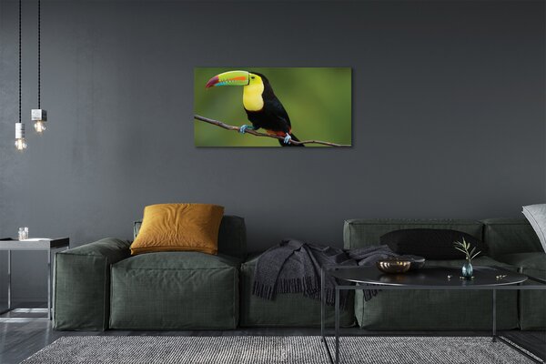 Quadro su tela Pappagallo colorato su un ramo 100x50 cm