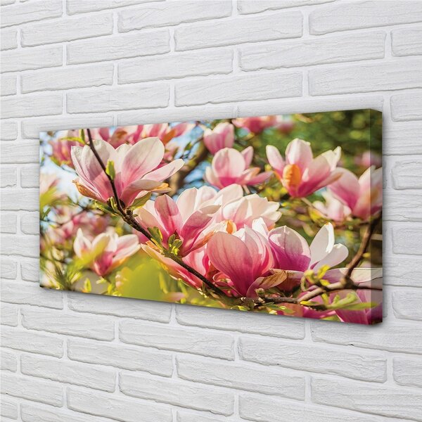 Quadro su tela Magnolia rosa 100x50 cm