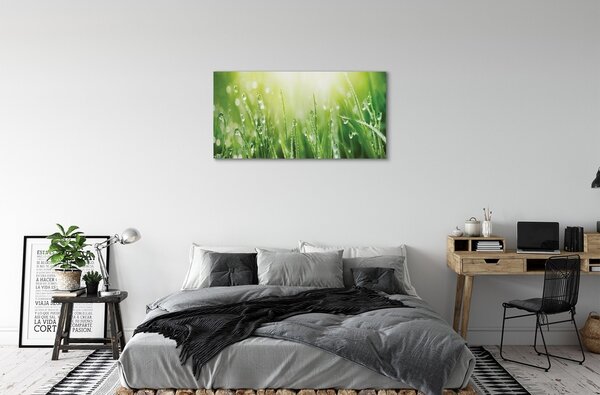Quadro su tela Cade il sole dell'erba 100x50 cm