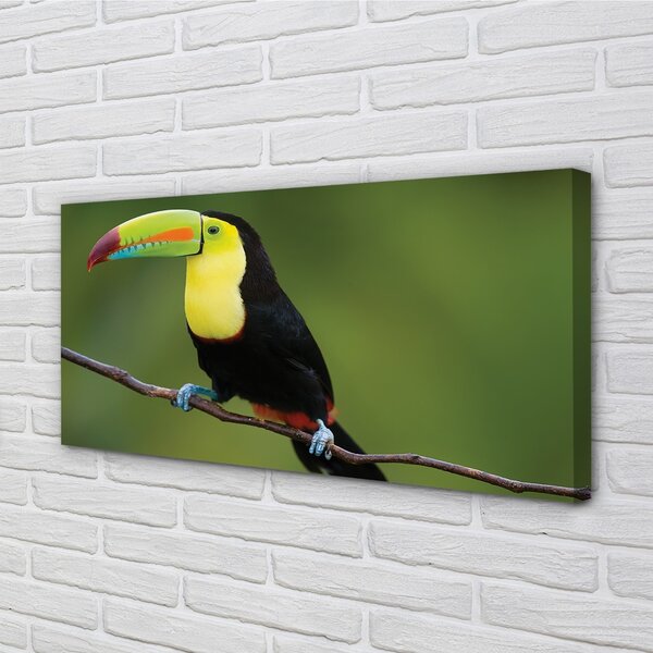 Quadro su tela Pappagallo colorato su un ramo 100x50 cm