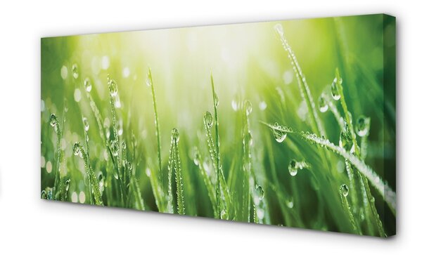 Quadro su tela Cade il sole dell'erba 100x50 cm