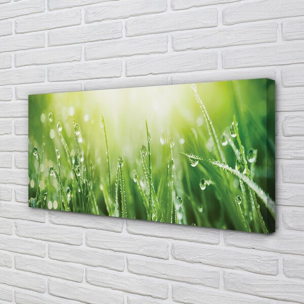 Quadro su tela Cade il sole dell'erba 100x50 cm