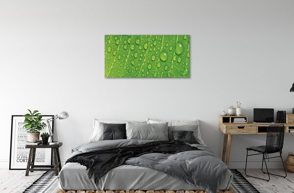 Quadro su tela Cade macro foglia 100x50 cm
