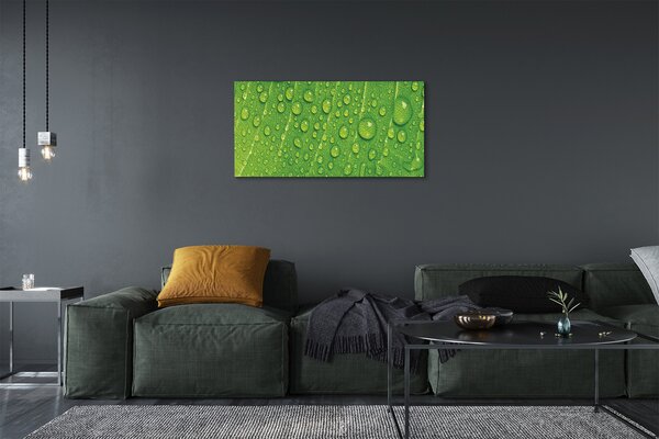 Quadro su tela Cade macro foglia 100x50 cm
