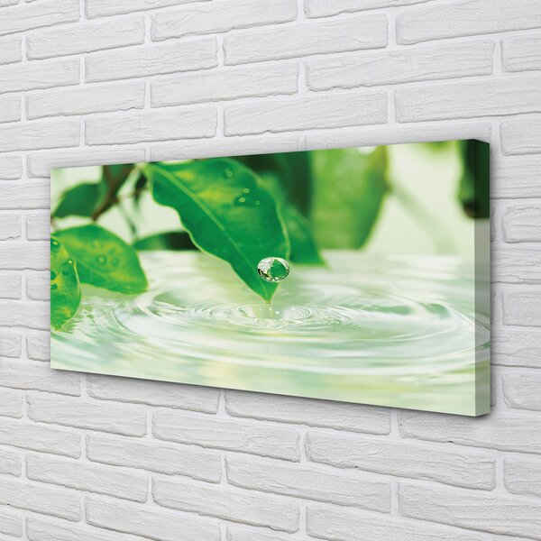 Quadro su tela Lascia cadere l'acqua 100x50 cm