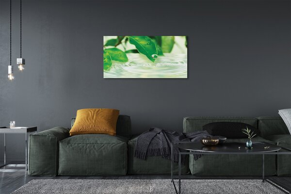 Quadro su tela Lascia cadere l'acqua 100x50 cm