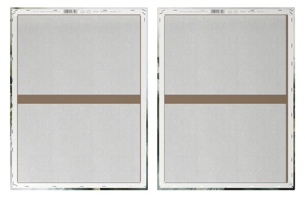 Set di quadri con elementi dipinti a mano 2 pz 50x70 cm Myrtle – Styler