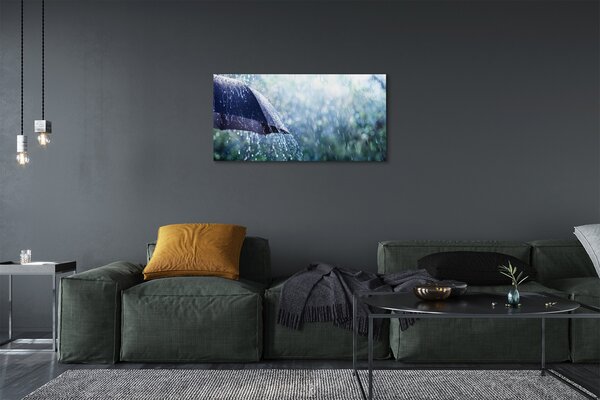 Quadro su tela Gocce ombrello di pioggia 100x50 cm
