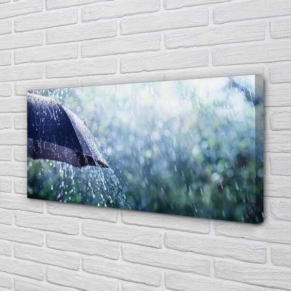 Quadro su tela Gocce ombrello di pioggia 100x50 cm