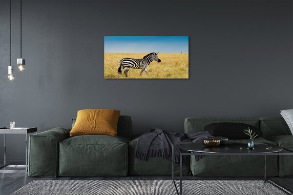 Stampa quadro su tela Campo zebra 100x50 cm