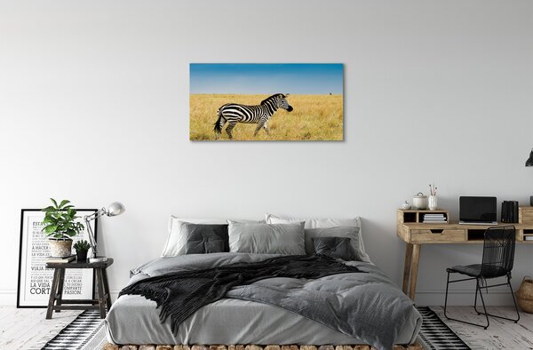 Stampa quadro su tela Campo zebra 100x50 cm