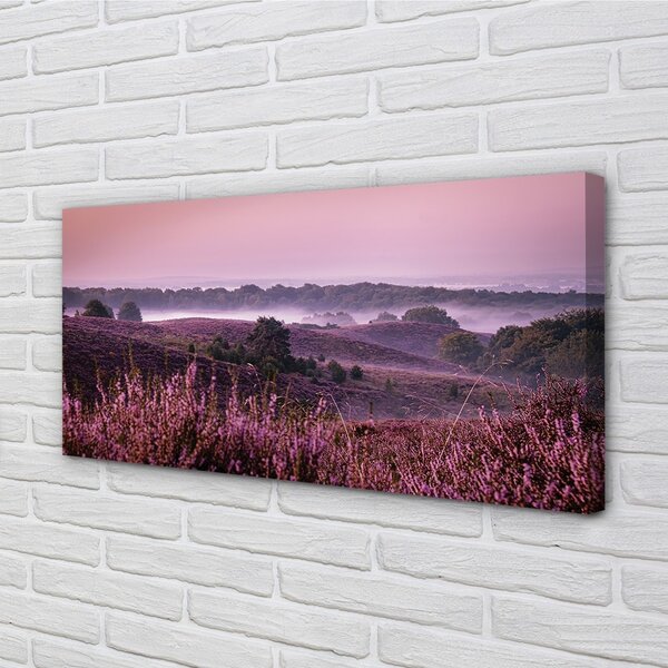 Quadro su tela Campo heather 100x50 cm