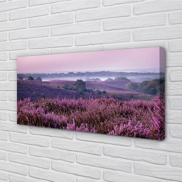 Foto quadro su tela Campo heather 100x50 cm