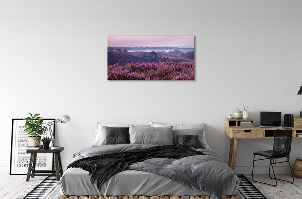 Foto quadro su tela Campo heather 100x50 cm