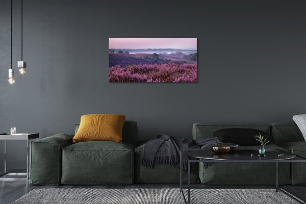 Foto quadro su tela Campo heather 100x50 cm
