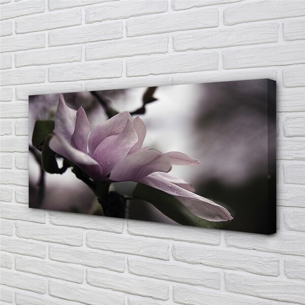Quadro su tela Magnolia 100x50 cm