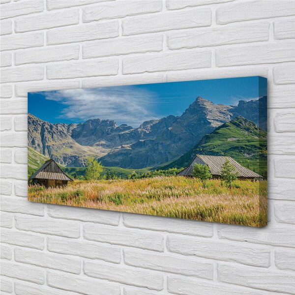 Quadro su tela Montagne dei campi cottage 100x50 cm