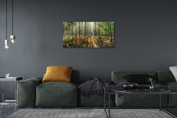 Quadro su tela Birch Tree Forest 100x50 cm