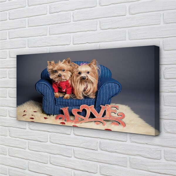 Quadro su tela Yorkies 100x50 cm