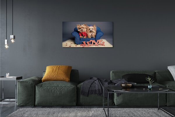 Quadro su tela Yorkies 100x50 cm