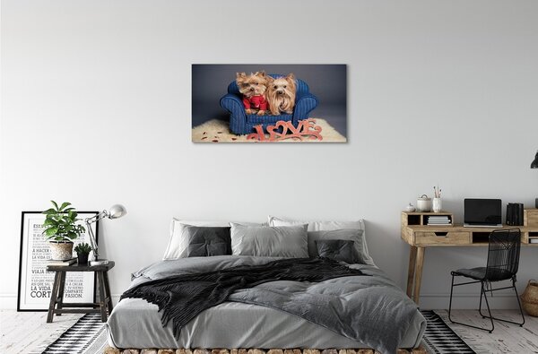 Quadro su tela Yorkies 100x50 cm