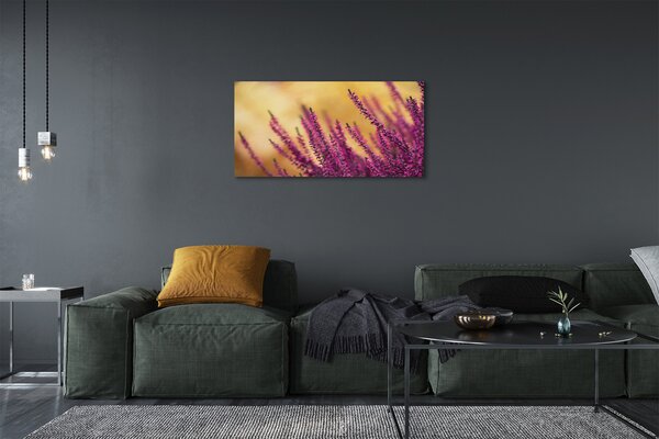 Foto quadro su tela Fiori 100x50 cm