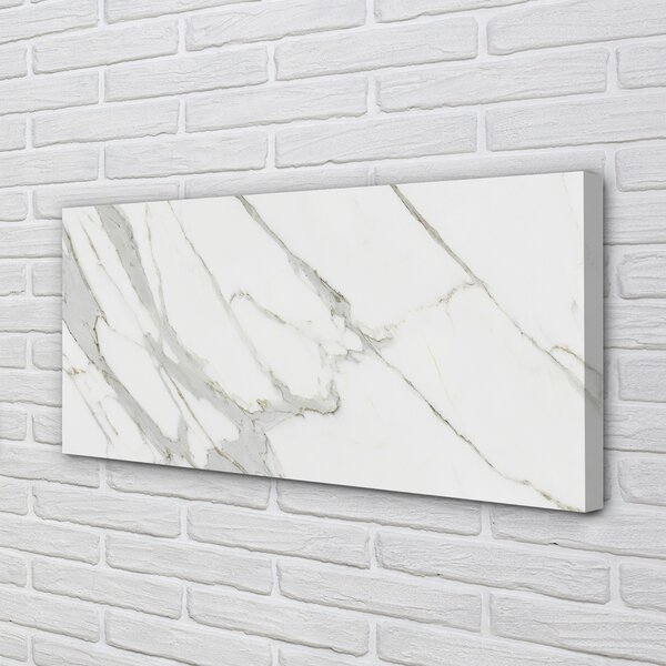 Quadro su tela Macchie di marmo di pietra 100x50 cm