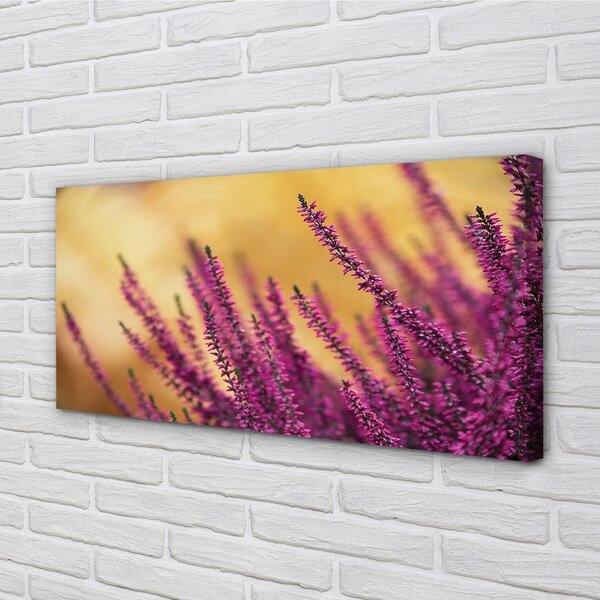 Foto quadro su tela Fiori 100x50 cm